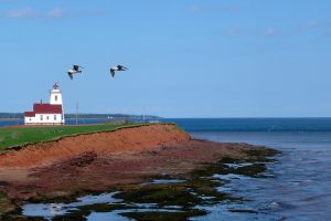 prince-edward-island-54990_640