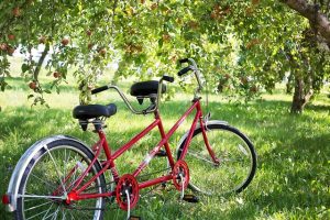 tandem-bike-905067_640