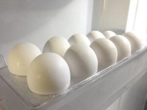 卵 腐る 保存方法